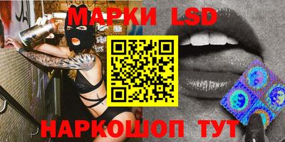 винт Владимир