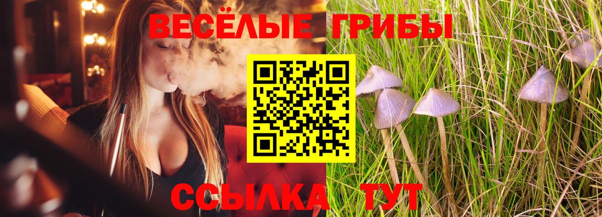 Нефтеюганск  купить наркотик  Вход с VPN  Галлюциногенные грибы прущие грибы 